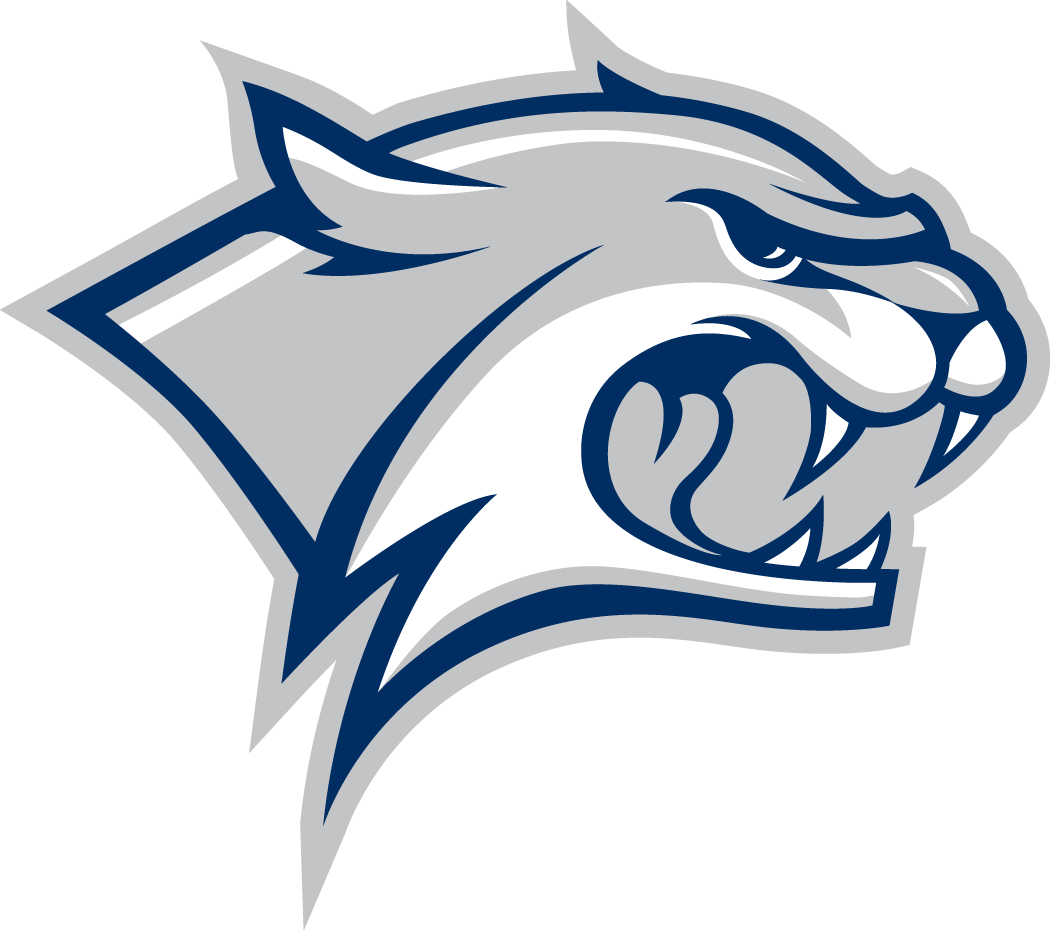 New Hampshire Wildcats 2000-Pres Secondary Logo 01 iron on paper